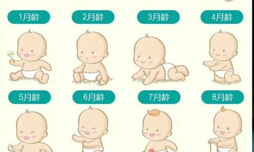 安满奶粉是正规品牌吗-安满婴儿奶粉价格网 | 安满奶粉怎么样好不好,安满奶粉属于什么档次